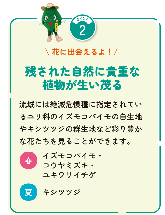 花に出会えるよ！残された自然に貴重な植物が生い茂る　流域には絶滅危惧種に指定されているユリ科のイズモコバイモの自生地やキシツツジの群生地など彩り豊かな花たちを見ることができます。春：イズモコバイモ・コウヤミズキ・ユキワリイチゲ　夏：キシツツジ