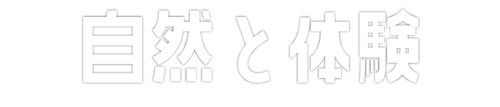 自然と体験